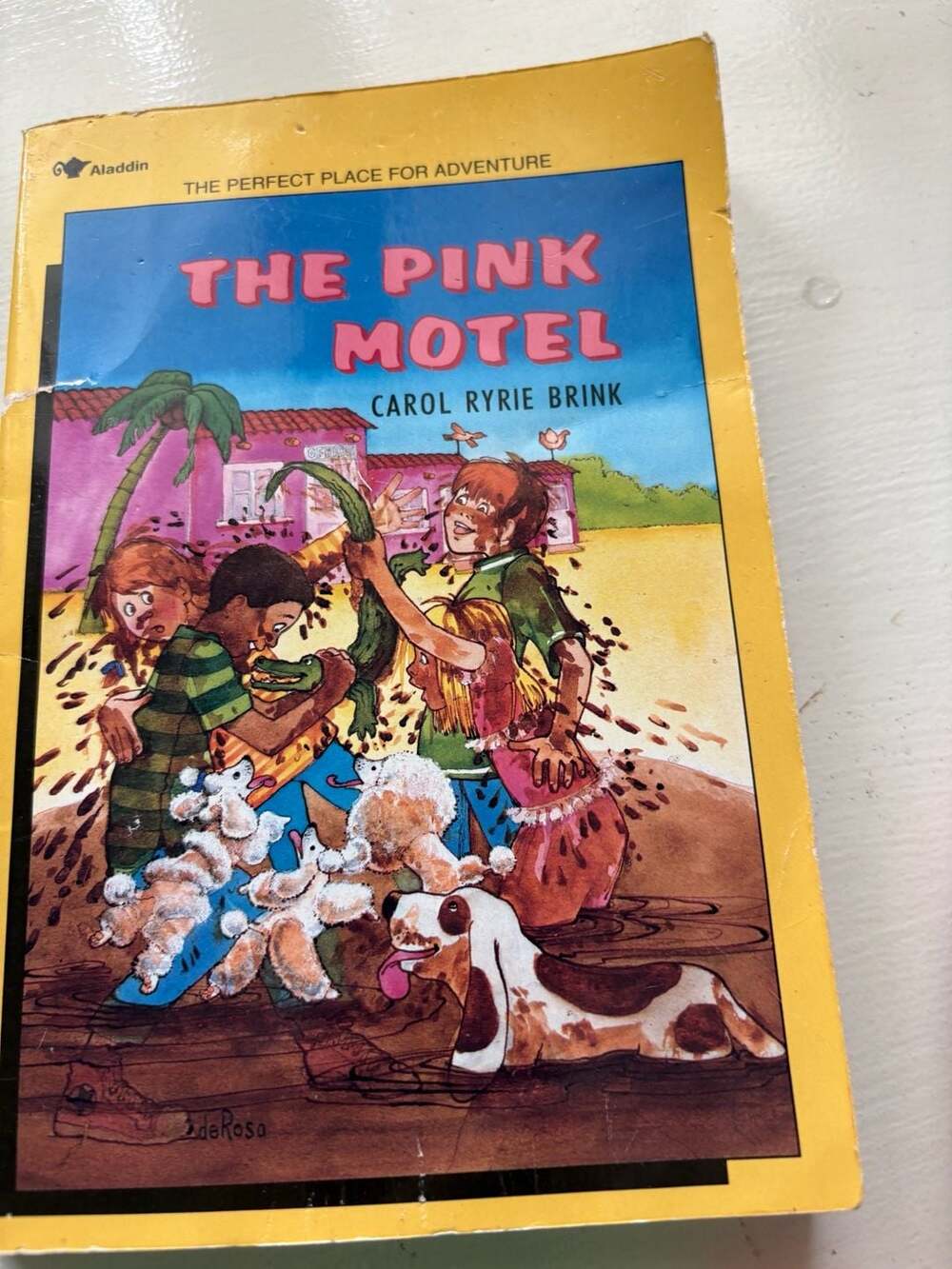 The Pink Motel By Carol Ryrie Brink